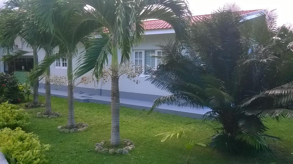 Homestay Fairy Hill Palms