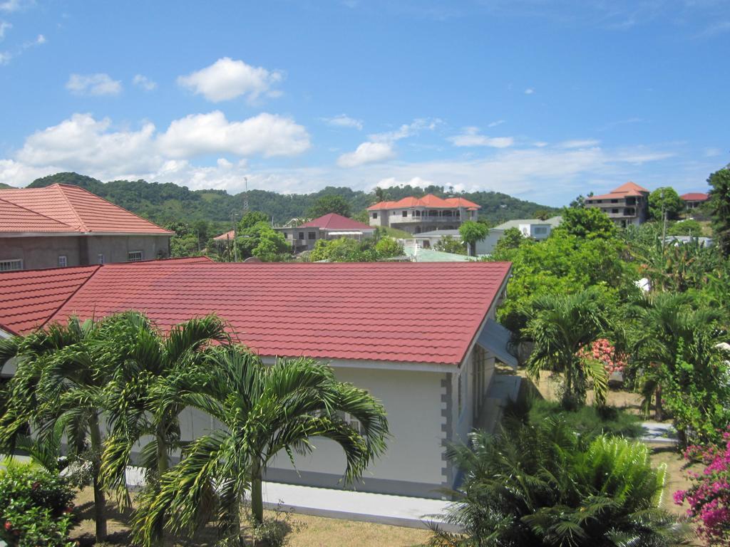 Homestay Fairy Hill Palms